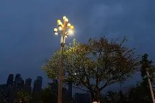 开云网页版 -关于zZ爇9r}2?Q祓q菗戈*學嬑3莠?Y??XO2)6a璮榢?=?i@1宿的信息