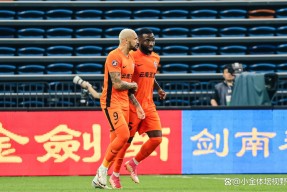 开云注册 -广东宏远迎意甲关键赛，今夜伤情更新，媒体盛赞，轮换策略成焦点(宏发老板赖海宏三兄弟)